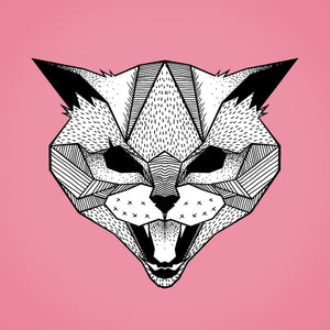 The Icelandic Yule cat