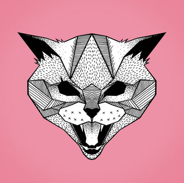 The Icelandic Yule cat